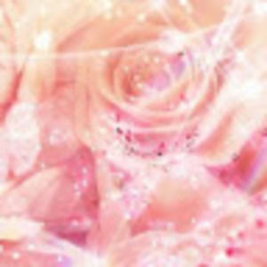 Meet your Posher, Diamond